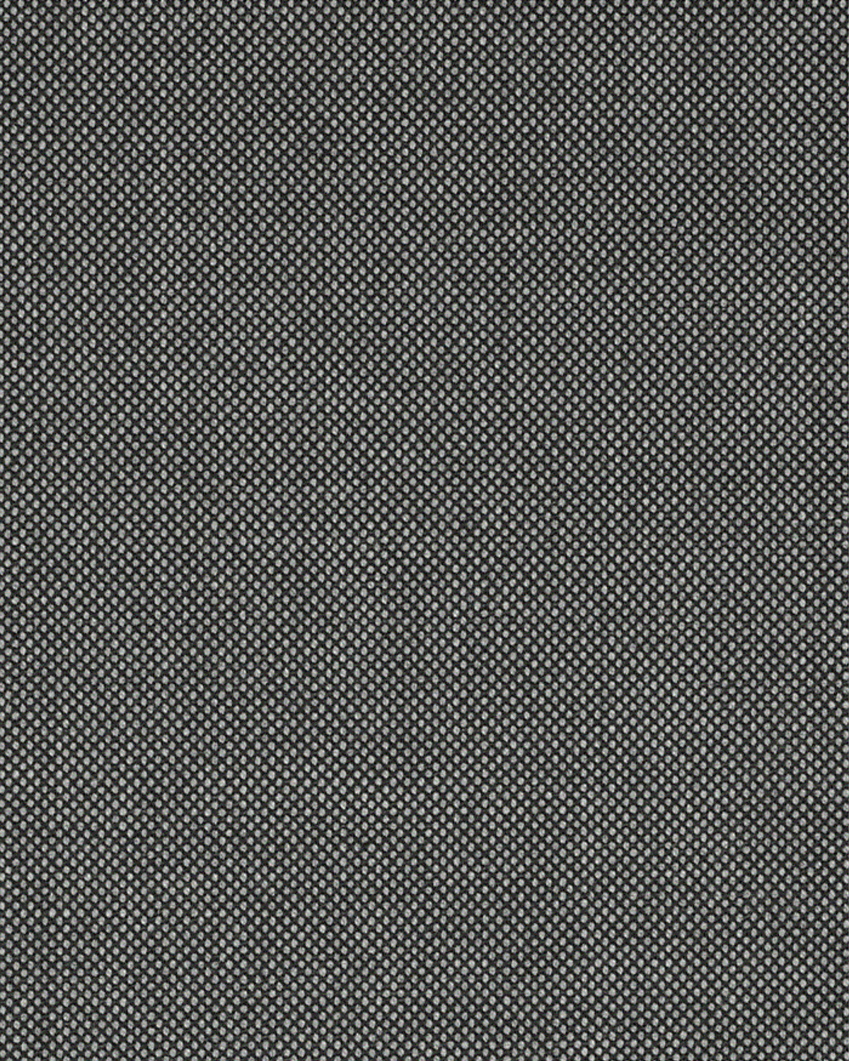 Loro Piana Australis Super 150&#39;s (#2425)